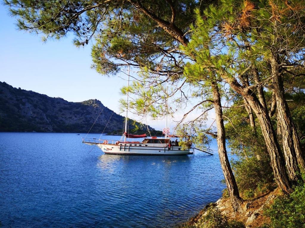 Gulet Aria — crewed gulet charter in Turkey